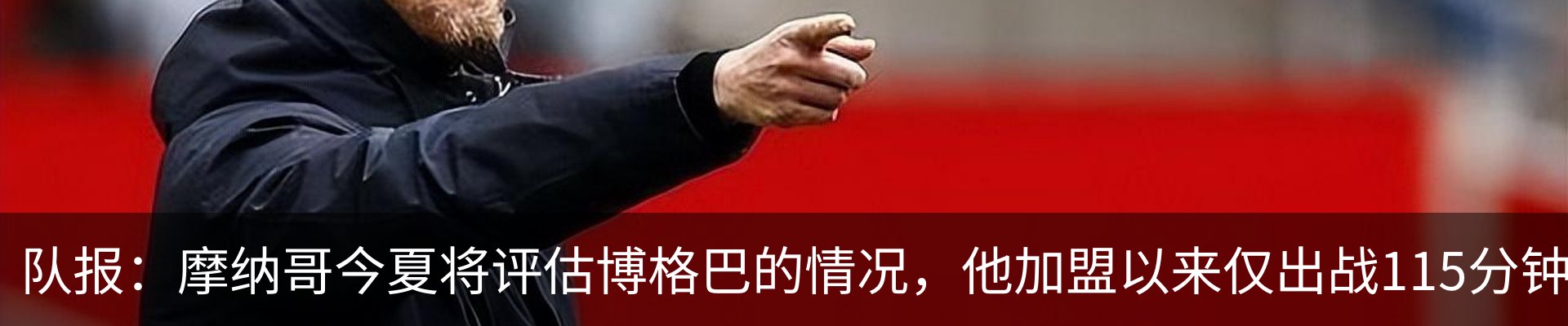 最新动态